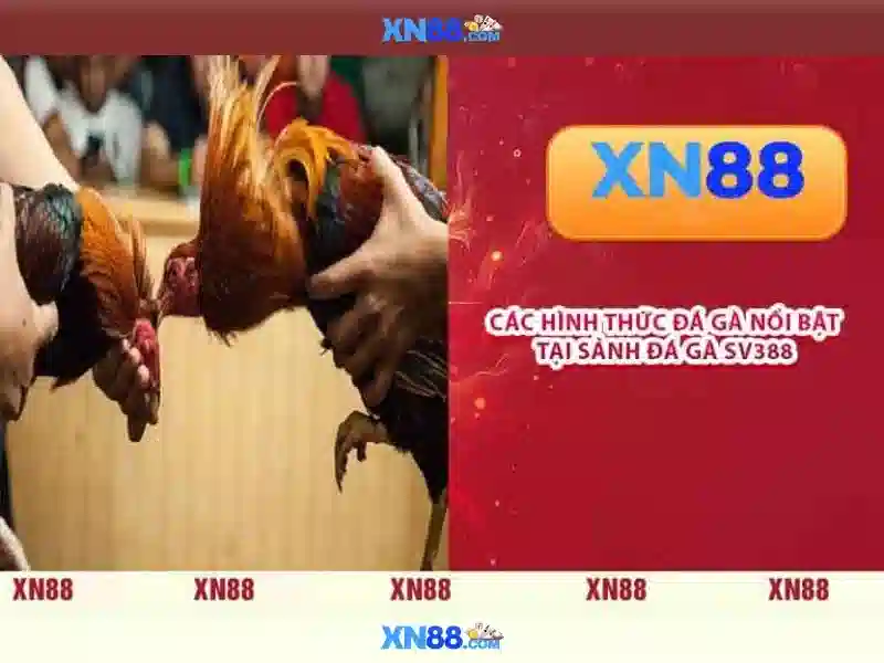 💎bóng đá 888.com💎 💎bóng đá 888.com💎