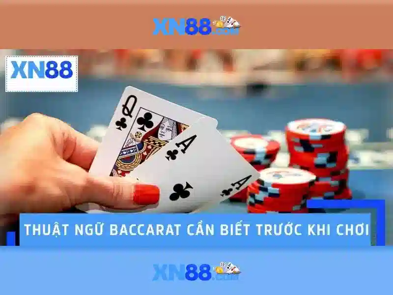 💎trang cá cược bóng đá live ektomorf💎 💎trang cá cược bóng đá live ektomorf💎
