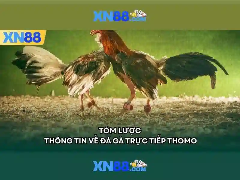 XN88 Có Uy Tín Không? Hướng Dẫn Nạp Tiền Slot Nhanh Chóng An Toàn - xn88 XN88 Có Uy Tín Không? Hướng Dẫn Nạp Tiền Slot Nhanh Chóng An Toàn - xn88