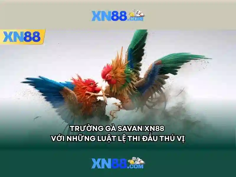 quy định tham gia - xn88 quy định tham gia - xn88