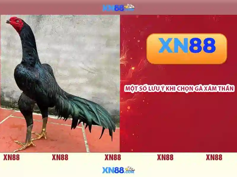 rút tiền - xn88 rút tiền - xn88