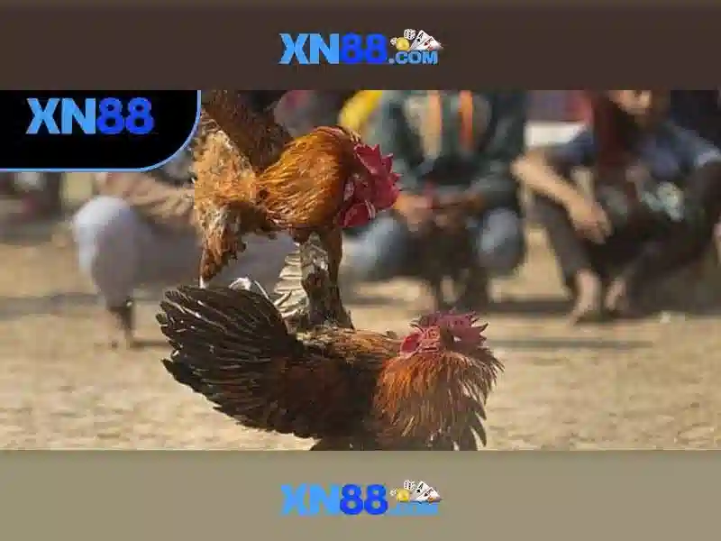 💎slots era download💎 💎slots era download💎