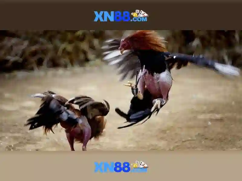 Nạp Tiền XN88 – Loạt Cách Thức Gửi Tiền Nhanh Nhất Cho Người Chơi Slot - xn88 Nạp Tiền XN88 – Loạt Cách Thức Gửi Tiền Nhanh Nhất Cho Người Chơi Slot - xn88