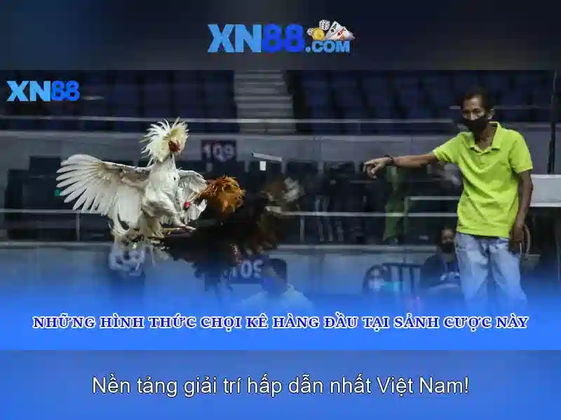 💎netnet slots💎 💎netnet slots💎