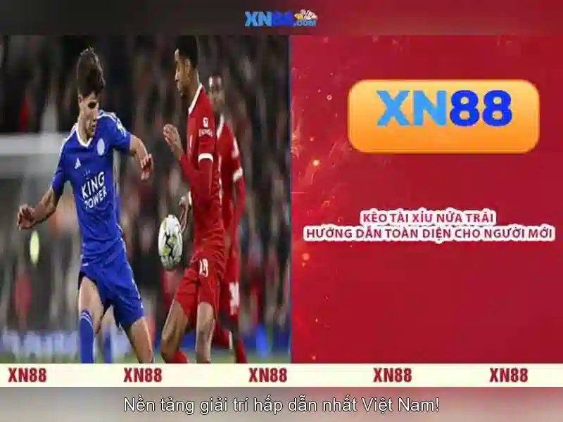 💎slot information💎 💎slot information💎