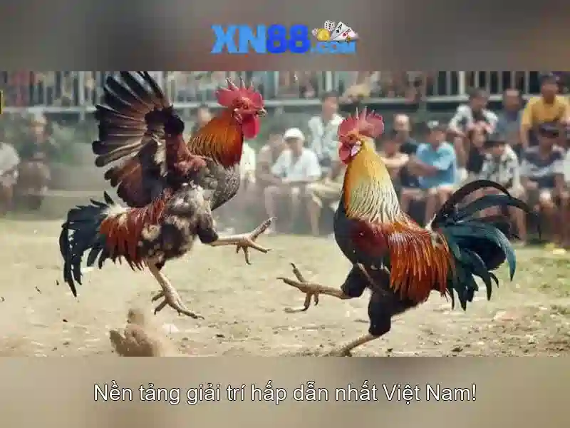 💎nr200 3 slot gpu💎 💎nr200 3 slot gpu💎