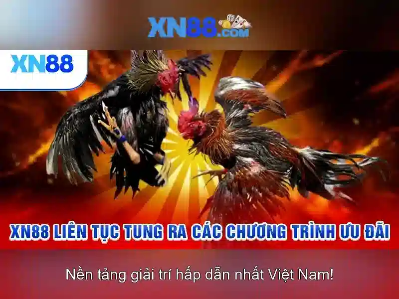 💎ca nhạc đánh mất cuộc tình💎 💎ca nhạc đánh mất cuộc tình💎