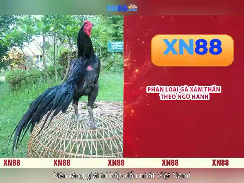 💎ty le ca cuoc euro dem nay💎 💎ty le ca cuoc euro dem nay💎