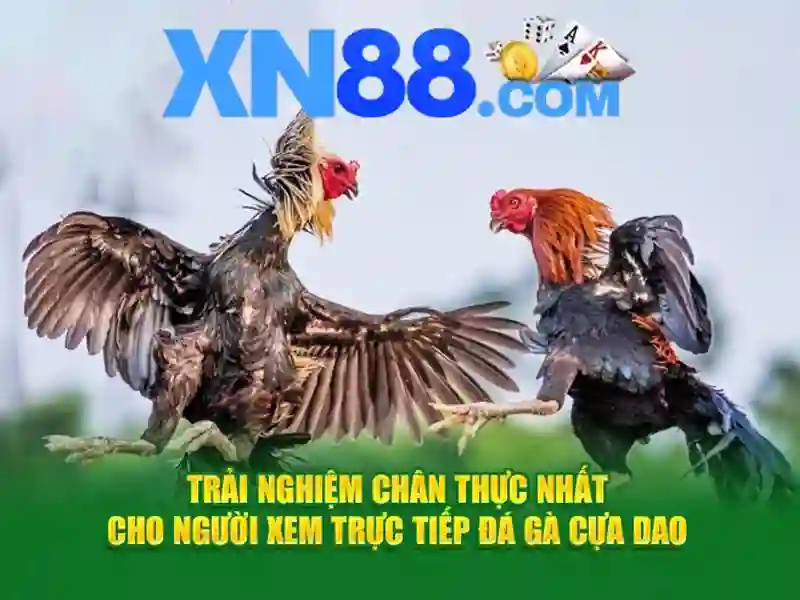 game slot đổi tiền - xn88 game slot đổi tiền - xn88